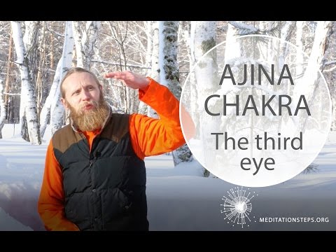 Biopsychology of  Yoga - 7. Ajina Chakra. The Third Eye