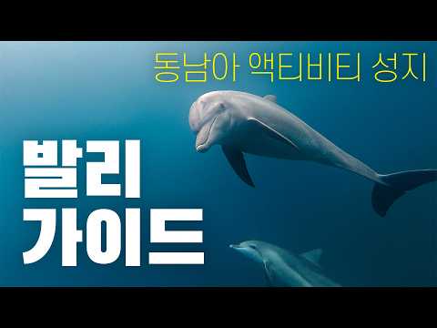 발리의 숨겨진 매력과 최상의 여행 팁