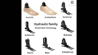 Tailored to Enhance the Natural Abilities of Human Legs