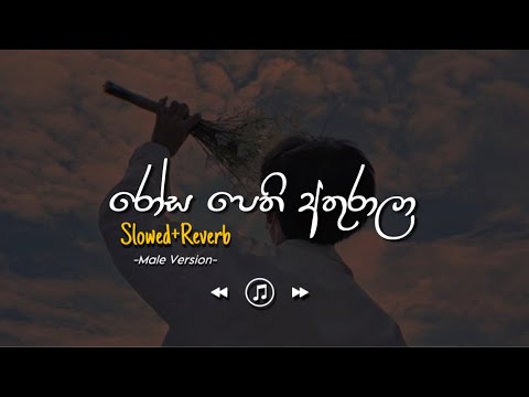 Rosa Pethi Athurala - රෝස පෙති අතුරාලා | Male Version (Slowed+Reverb)