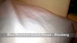 Bed Bugs at Dirty Blue Mountain Guest House