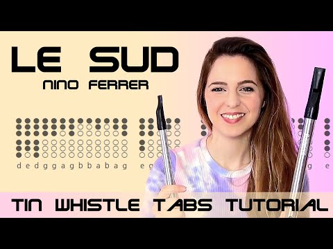Le Sud - Nino Ferrer | LOW WHISTLE COVER & TABS TUTORIAL