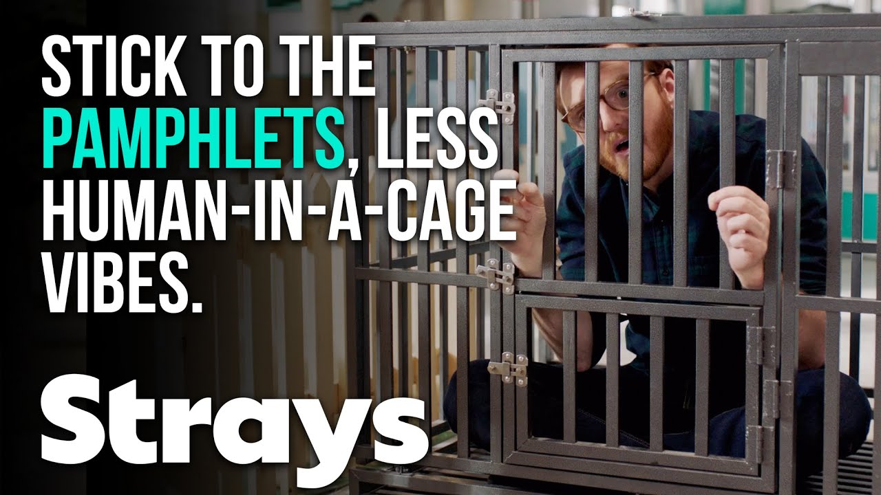 Animal Cruelty Awareness Day protest