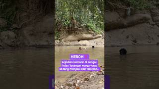 Download lagu kejadian kemarin di sungai hutan larangan warga yang sedang menjala ikan tiba tiba #shortsviral mp3 Download lagu kejadian kemarin di sungai hutan larangan warga yang sedang menjala ikan tiba tiba #shortsviral mp3