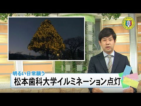 松本歯科大学イルネーション