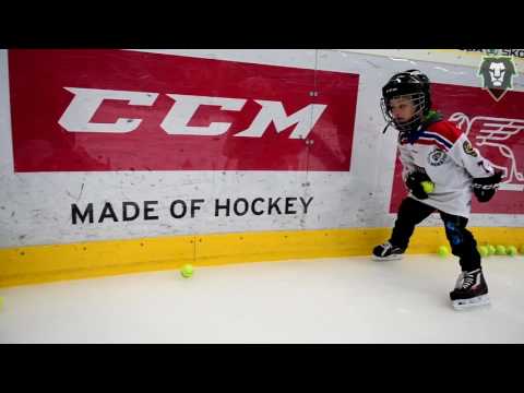 Týden hokeje: pojď hrát hokej