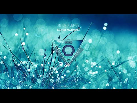 Anton Kubikov - F-trip (Tomin Tomovic Remix) _ Deep House