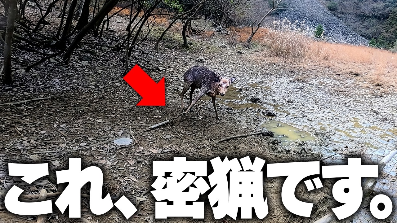 【違法罠】絶対に許せないことがありました。