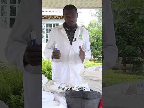 Broiler Chicken Farming broilerchicken poultryfarming chicken poultrymanagement