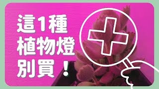 為何我不買這1種植物燈 | How to choose plant lamp |《葛斯怎麼種》69