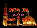 Sakina Jan Slowed + Reverb Lofi | Farhan Ali Waris | Shiat x 313