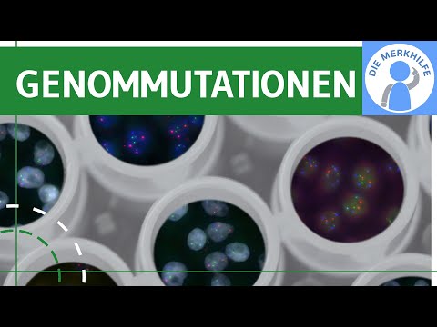 Genome mutations - term, chromosomes, polyploid & aneuploid mutation simply explained - Genetics