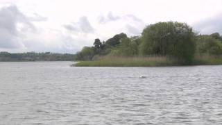 Lough Ramor,  Virginia, County Cavan, Ireland