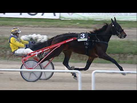 Napoli Trotto 22/10/2023 - 8ª corsa