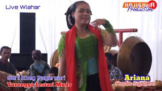 Download lagu MEGAT MEGOT Turonggo Lestari Mudo mp3 Download lagu MEGAT MEGOT Turonggo Lestari Mudo mp3