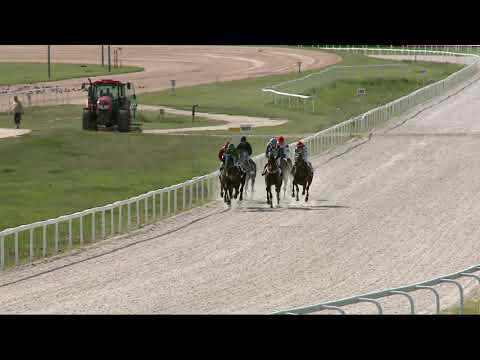 2021.08.08. 04. futam - NÉMETH FERENC EMLÉKKUPA IV. FUTAMA HENDIKEP (IV.o.) (szintetikus pálya)