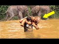 Man Saves Drowning Baby Elephant, Then Herd Does Something Unexpected 😳…