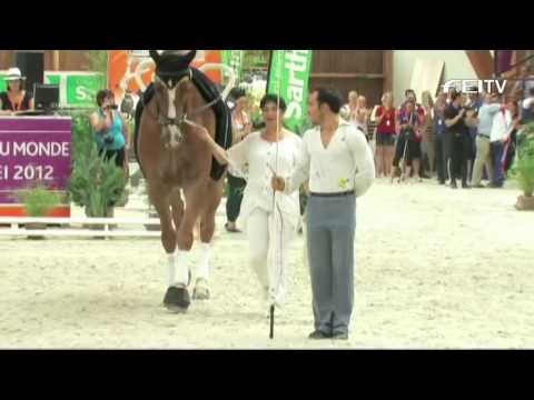FEI World Vaulting Championships 2012 - Le Mans - Individual Male