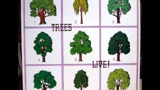 Music video thumbnail preview for Trees ‎– Burgen Polka ( 1973, Folk Rock, UK ) [Live] by Trees