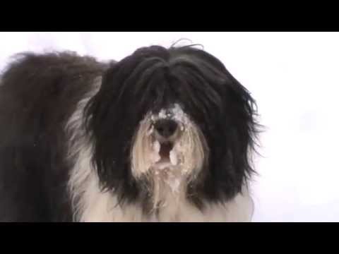 Wigor - zimowe zabawy