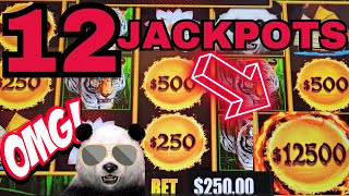 BIGGEST WIN OF MY LIFE!!!! THIS IS INSANE!!!! PANDA MAGIC IS ON FIRE UP TO $250 SPINS!!!!!