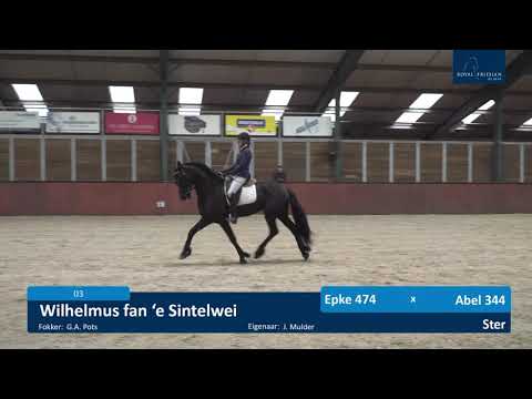 IBOP – 29 april 2021  WB Stables Wergea