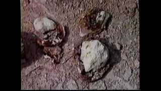 Ruins of Sodom and Gomorrah Found !