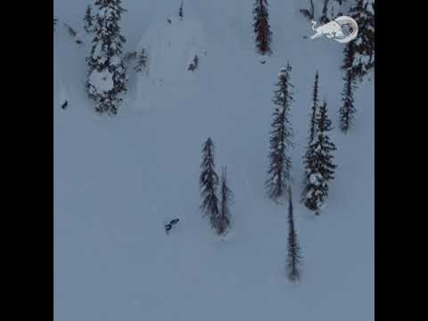 Robin Van Gyn Winning Run - Natural Selection 2° Stop - Baldface Valhalla