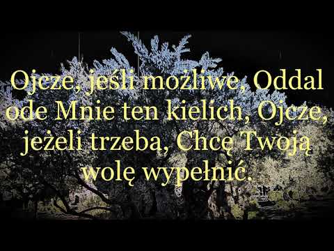 Nocą ogród oliwny
