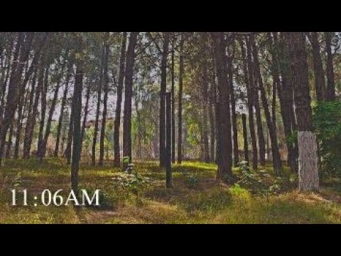 Hiking day in baffa 🏔️📸