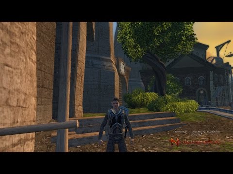 невервинтер праведный паладин №1