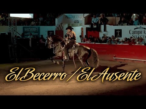 Beto Peña - El Becerrero - El Ausente