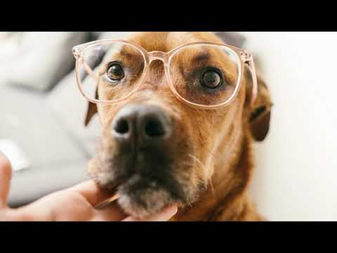 Ексклузив - Ла ли ла ли / Ekskluziv - La li la li