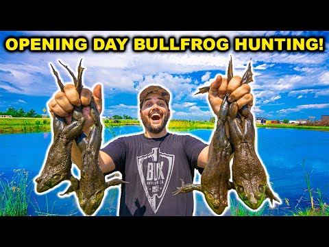 BULLFROG Hunting the WAREHOUSE Pond OPENING DAY!!! (Catch Clean Cook)