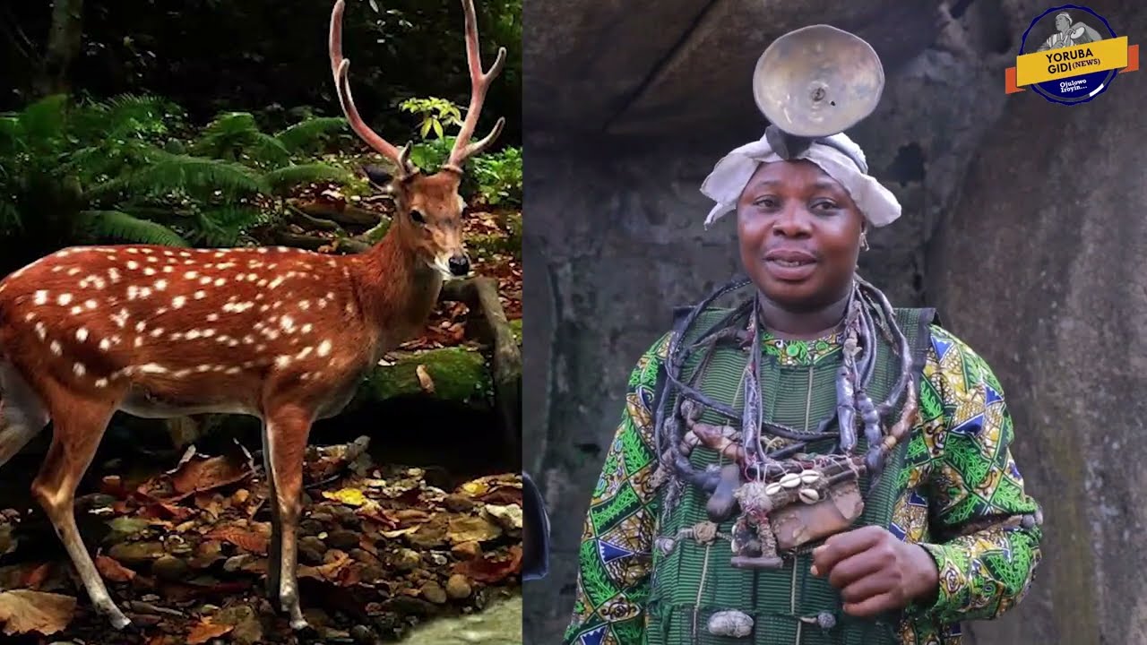 The Enduring Legacy of Yoruba Hunters