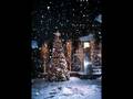 Toby Keith - Blame It On The Mistletoe