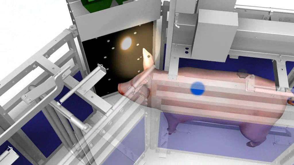 WEDA Sowcomp: Marcado del color