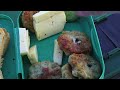 Фото РЫБАК ГОРИТ ЗАЖИВО!? САМЫЙ ПРОДУМАННЫЙ СИБИРСКИЙ РЫБАК С ВЕДРОМ! Рыбалка на малой реке!