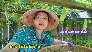 #660|| The Truth About A HUNDRED-FRUITS GOURD VINE In Nhung's Garden _ First Time Speaking Up Abo...