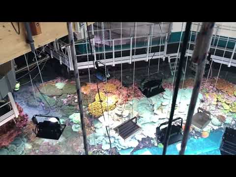 Burgers Ocean achter de schermen