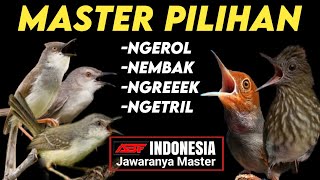 Download lagu Lawan Auto Tepar!! MASTERAN BURCIL ROLL TEMBAK FULL SPEED RAPAT mp3 Download lagu Lawan Auto Tepar!! MASTERAN BURCIL ROLL TEMBAK FULL SPEED RAPAT mp3
