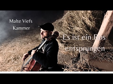 Malte Viefs Kammer - Es ist ein Ros entsprungen