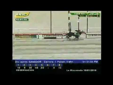 Resumen corto del SÁBADO 19 de enero La Rinconada