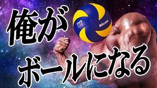 ３Dバレーボールゲェェェェエエエエエエム！！！【Volleying】