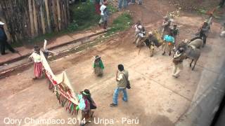 preview picture of video 'Qori Champaco 2014 - Uripa - Perú'