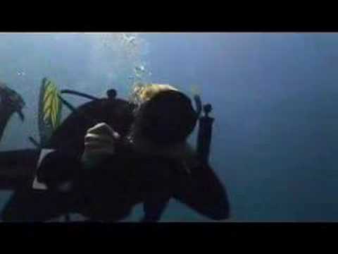 Meet Annie Crawley - Ocean Life A-Z DVD Sample Chapter - Kids Ocean Movie