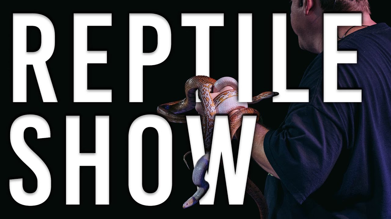 Promotional video thumbnail 10 for EPIC Entertainment