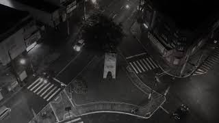 Agnes Obel - Brother Sparrow (Tradução, Legendada)