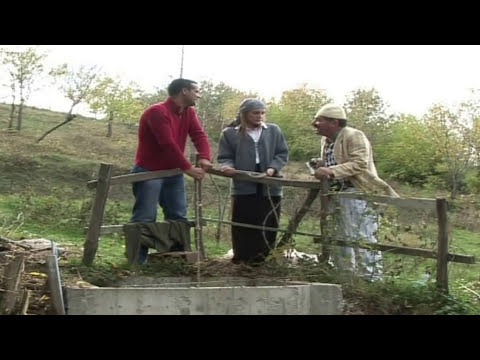 Cima, Shpetimi, Kungji - Shokët po ma ngucin  gruen