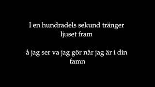 Den svenska björnstammen - mörkt kallt ljus lyrics